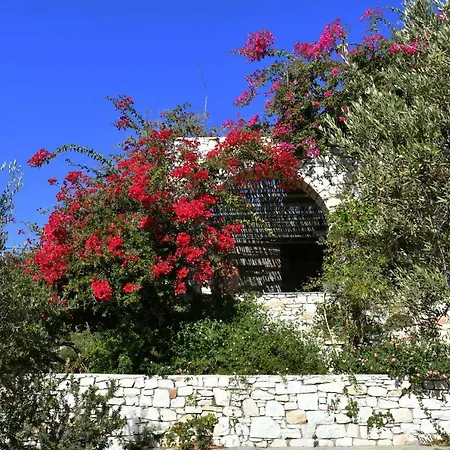 Paros Selana Casa de Campo Naousa
