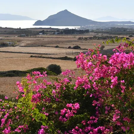 Paros Selana Casa de Campo Naousa