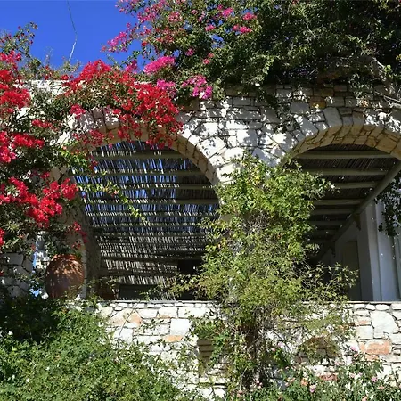 Paros Selana *